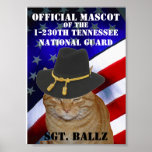 SGT. BALLZ COMMAND PHOTO PRINT