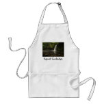 Sgwd Gwladys Waterfall 1 aprons