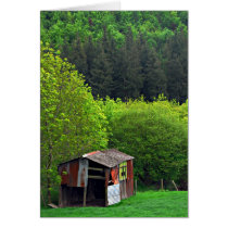 Shack Card