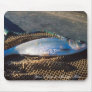 Shad In Net Mouse Pads