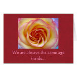 Shaded Rose - Birthday Greeting Cards
