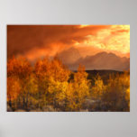 Shades Of Autumn Art Mural posters