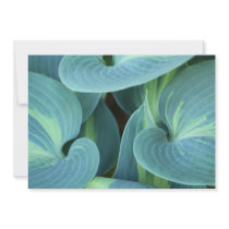 Shades of Green Custom Invitations