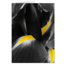 Shades of grey greeting cards