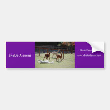 ShaDo Alpacas, Honk if you Pronk! Bumper Sticker