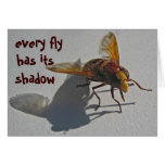 shadow fly cards
