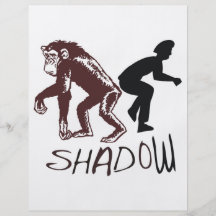 Shadow Flyers