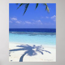 Shadow of Palm Tree Poster