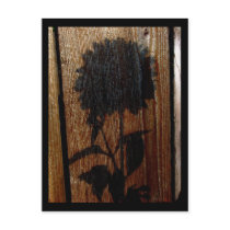 shadow postcards