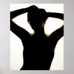 Shadow Posters