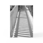 Shadow Tracks