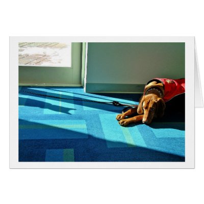 Shadowplay 2 greeting cards by RunningDog1