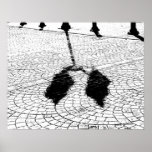 Shadows #5 posters