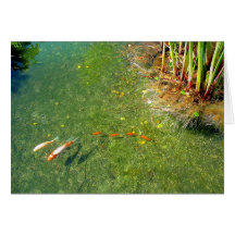 Shadows and Fish Greeting Card