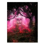Shadows of Indian Summer, by McD Postcard