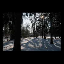 Shadows Of Winter posters