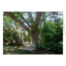 Shady Place to Relax Greeting Card