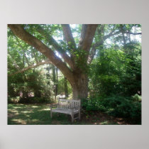 Shady Place to Relax Poster