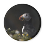 Shady Puffin Magnets