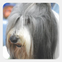 Shaggy Bearded Collie  Speakers Stickers
