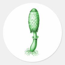 Shaggy Ink Cap Stickers