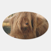 Shaggy Yak  Stickers