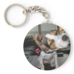 Shake it off beagle keychain
