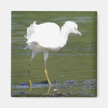 Shake it Up Fridge Magnet