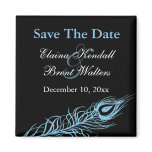 Shake your Tail Feathers Save the Date (tur/bl) magnets