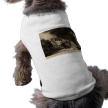 Shakespeare The Tempest Pet Tee Shirt