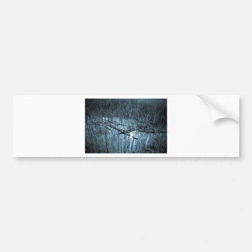 Shallow Pond Reeds Bumper Sticker