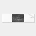 Shallow Pond Reeds Bumper Stickers
