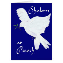 Shalom at Pesach!-White Dove of Peace Greeting Card