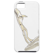Shamanic Spirit of Frog iPhone 5 Cases