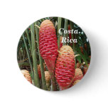 Shampoo Ginger, Costa Rica buttons