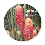 Shampoo Ginger, Costa Rica magnets