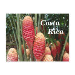 Shampoo Ginger, Costa Rica postcards