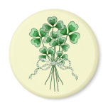 Shamrock Bouquet 2 magnets