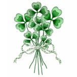 Shamrock Bouquet t-shirts