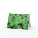 Shamrock cards