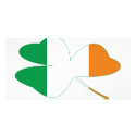 Shamrock Irish Flag photo cards