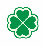 Shamrock photo sculptures