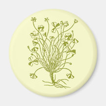 Shamrock Plant Fridge Magnets