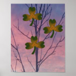 Shamrock Tree posters