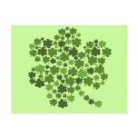 Shamrocks In A Shamrock postcards