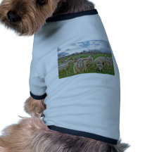 Shannon DE CELLE  PHOTOGRAPHY Pet Tee