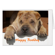 Shar Pei Birthday Grußkarte