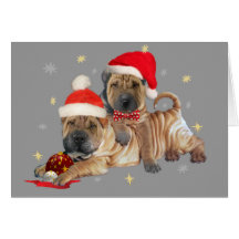 Shar-pei brothers Christmas Cards