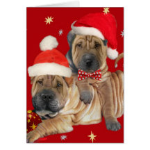 Shar-pei Brothers Christmas Cards