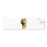 Shar Pei bumper stickers